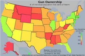 gun-ownership
