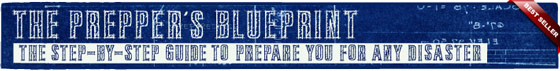 The Prepper's Blueprint