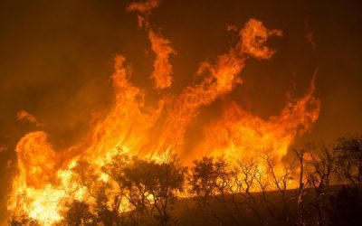 How Many Times Have People Been Warned To Leave The State Of California?