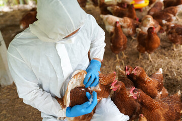 The H5N1 Bird Flu “Has Acquired Dozens Of New Mutations” And Authorities Are Really Ramping Up The Fear Level