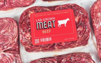 Desperate Lab-Grown Meat Industry Claims It Needs Government Subsidies to Survive