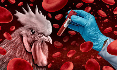 Robert Redfield Says Bird Flu Pandemic WILL HAPPEN