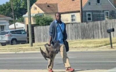 Residents Of Springfield Ohio Beg For Help After 20,000 Haitians Overwhelm City, Eat Local Wildlife