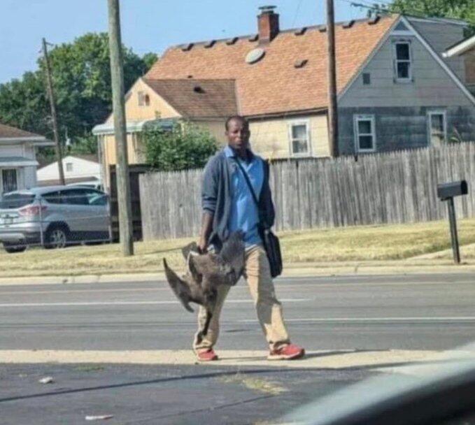 Residents Of Springfield Ohio Beg For Help After 20,000 Haitians Overwhelm City, Eat Local Wildlife