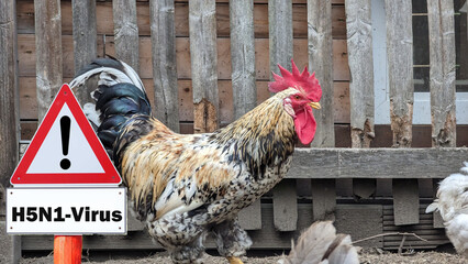 Ruling Class Doubles .1 Billion Already Spent To “Fight” Bird Flu